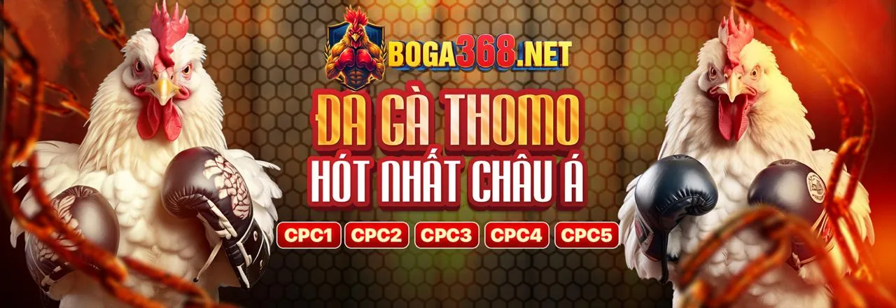 Cam kết dịch vụ và an toàn của vsbet code