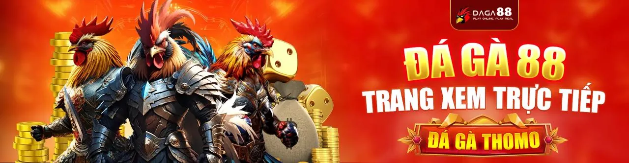 Đá Gà vsbet code - Sân đấu trực tuyến sôi động