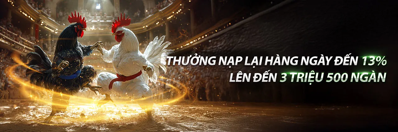 Các chương trình khuyến mãi độc quyền của vsbet code